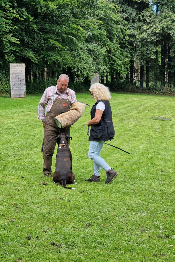 Ausbildung auf der Wiese Hund mit zwei Personen im Bereich Schutzdienst
