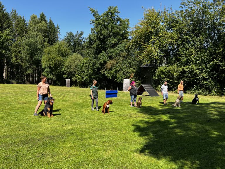 Sommerfest 2025
